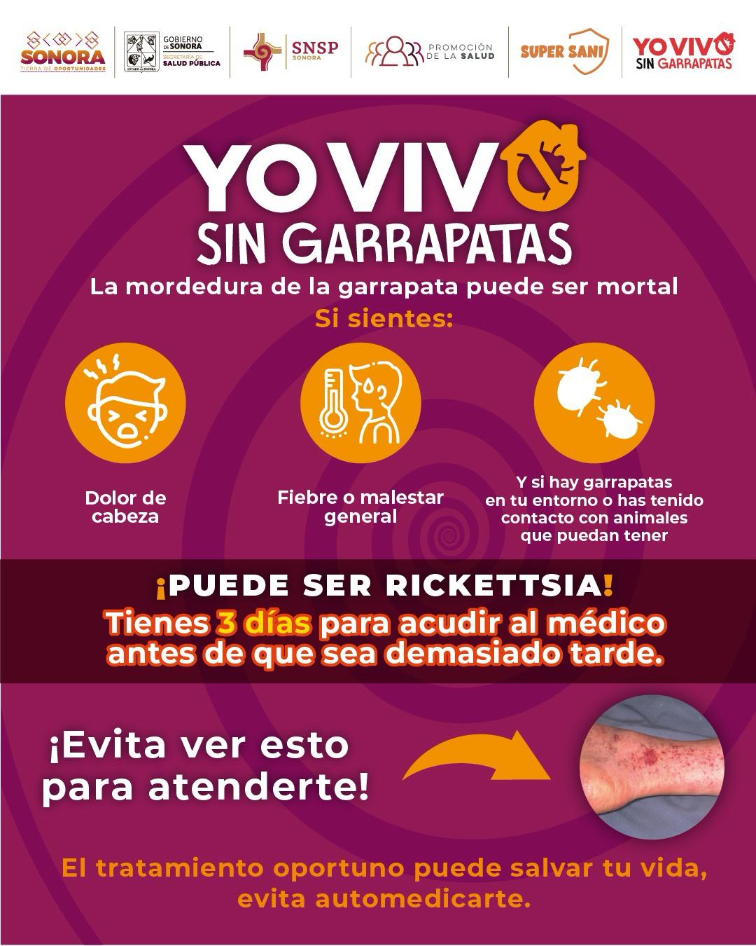 337F82E3-6AD3-4B32-9A25-0C42A0FEFE55