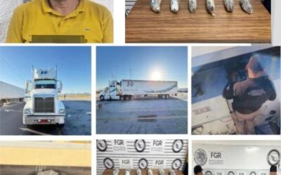 Operativos en Sonora dejan 172 detenidos y decomiso de droga