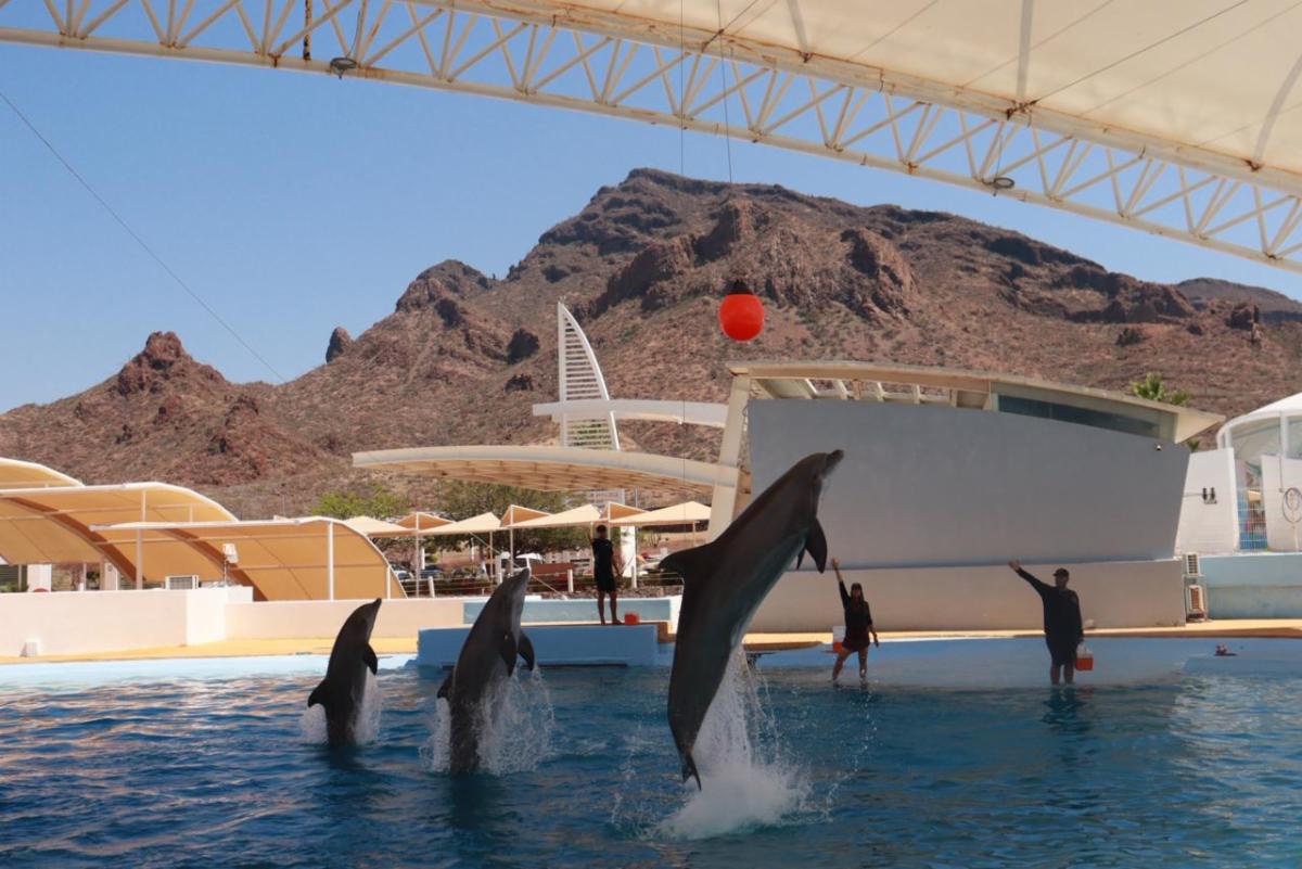 70E3E49F-48D4-4C3C-B5B5-68EA5DE0B666