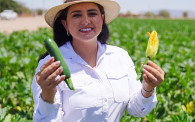 Destaca Celida López producción hortícola en la costa de Hermosillo con fuerte impacto económico