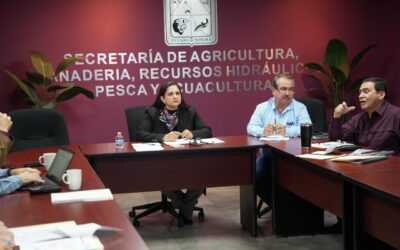 Avanza Sonora para reconocimiento internacional como zona libre de influenza aviar: Celida López