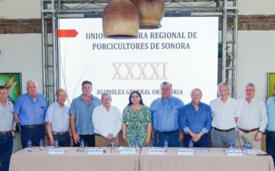 Gobierno de Sonora fortalece sanidad y competitividad del sector porcícola en beneficio de productores