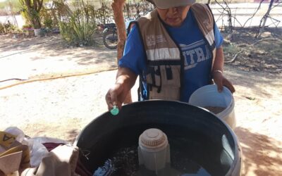 Refuerza Salud Sonora acciones preventivas y de control contra el dengue en todo el estado