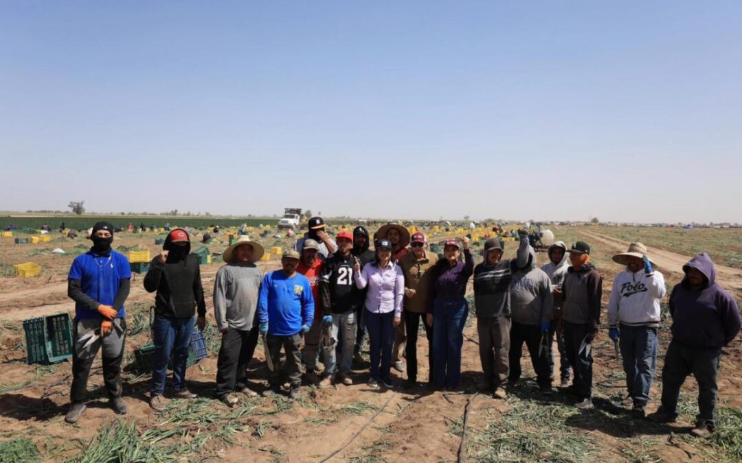 Gobierno de Sonora impulsa producción hortícola de exportación en San Luis Río Colorado