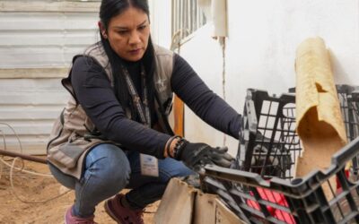 Promueve Salud Sonora estrategia “Casa Limpia” para prevenir enfermedades