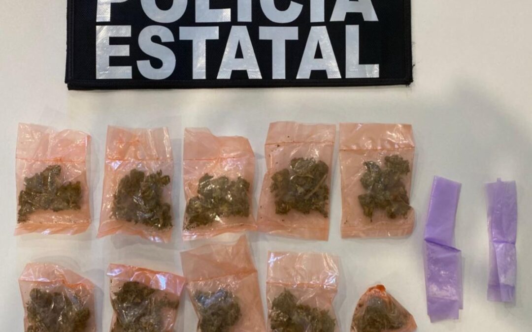 Acciones operativas de la Policía Estatal dejan resultados en Guaymas y Navojoa