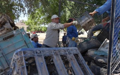 Secretaría de Salud fortalece acciones permanentes para la prevención y combate del dengue en Sonora
