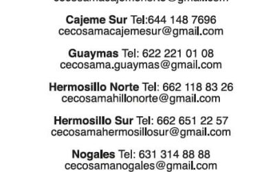 Salud Sonora recomienda buscar apoyo profesional ante crisis emocional