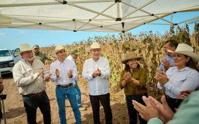 Acuerdan impulsar reconversión de cultivos en Sonora ante sequía