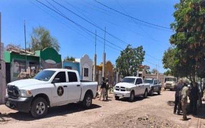 Autoridades decomisan más de 550 mil dosis de droga y detienen a 149 personas en Sonora