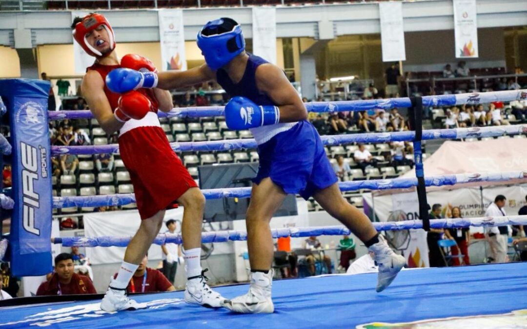 Sonora abre con tres triunfos en la Olimpiada Nacional de Boxeo