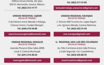 Gobierno de Sonora promueve vacantes de empleo a través del SNE en San Luis Río Colorado