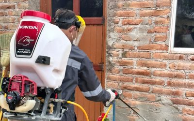 Refuerza Salud Sonora acciones contra la rickettsia con más de 2 mil 600 fumigaciones