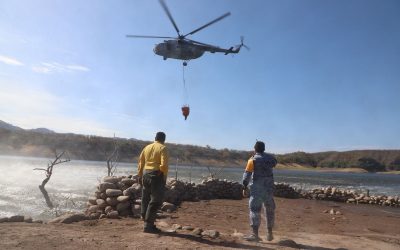 Incendio forestal en Tarachi alcanza 65% de control y 55% de liquidación
