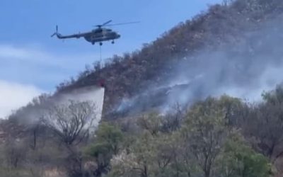 Incendio forestal en Arivechi alcanza 70% de control