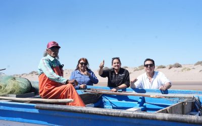 Medusa bola de cañón impulsa empleo y producción pesquera en Sonora