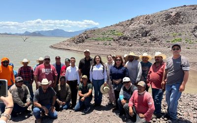 Gobierno de Sonora fortalece la pesca en embalses con la siembra de crías de tilapia: Celida López