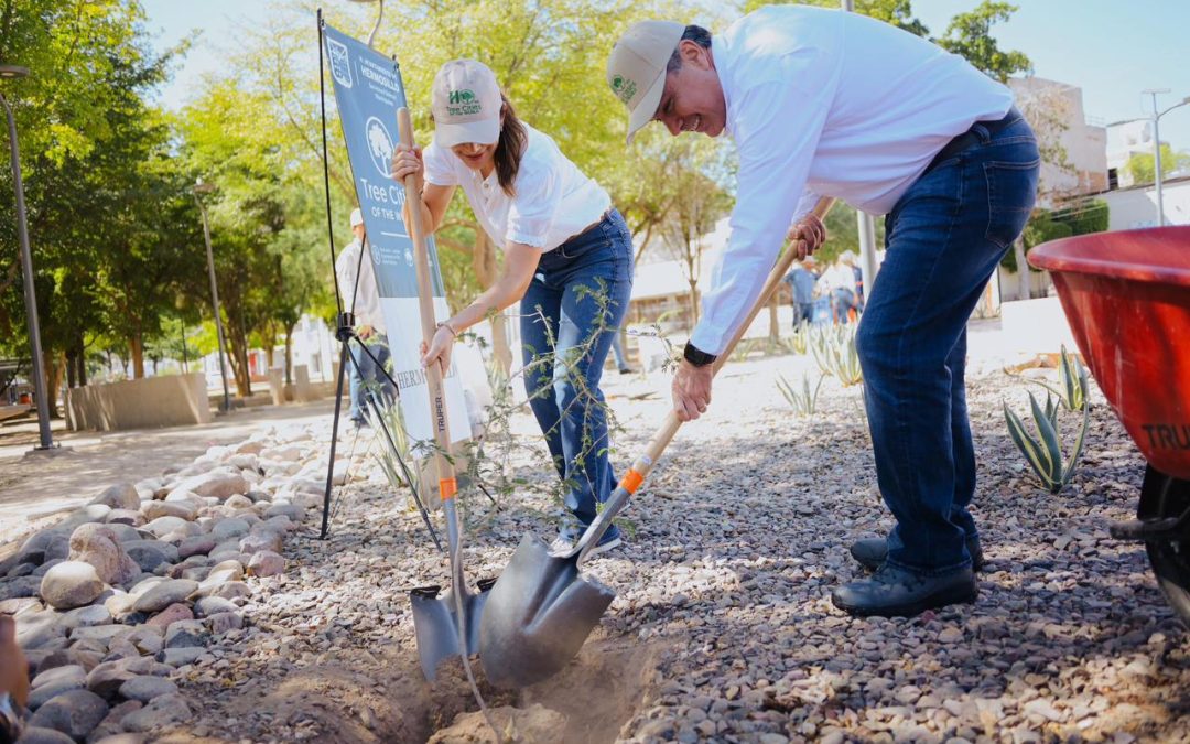 Plantación de más 113 mil árboles ayudan a mejorar el medio ambiente: Toño Astiazarán