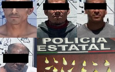 Incauta Policía Estatal narcótico en Cajeme y Guaymas