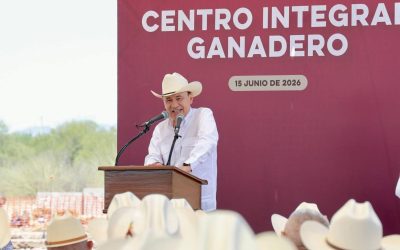 Respiro para ganadería: arranca Durazo obra estratégica para industrialización de la carne sonorense