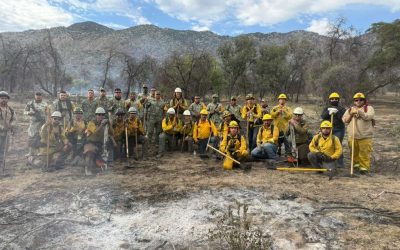 Gobierno de Sonora coordina esfuerzos binacionales para combatir incendio forestal Benton en la frontera Sonora-Arizona