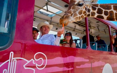 Centro Ecológico de Sonora registra 73 nacimientos en 2026