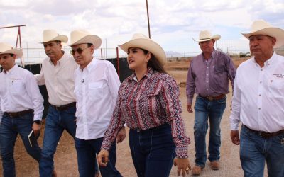 De la foto al territorio: por qué Morena gana, por qué Célida lidera y por qué Lamarque es la opción alternativa viable