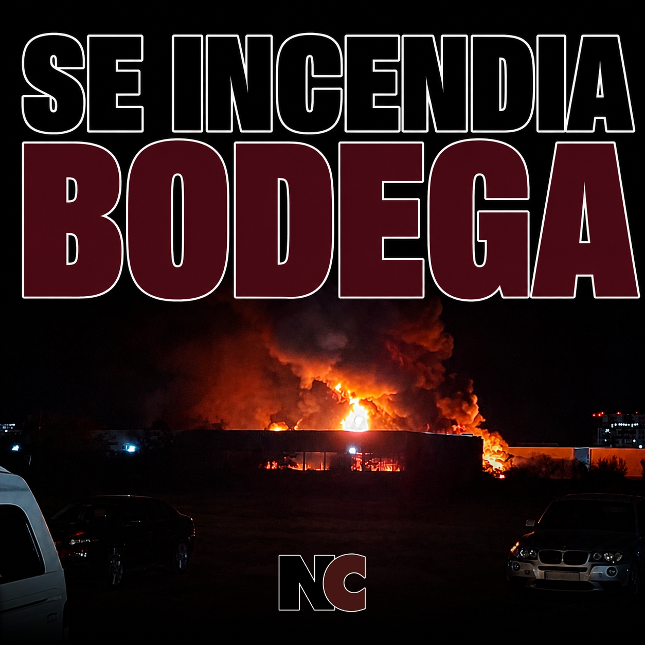 bodega