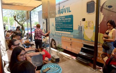 Anuncia Ayuntamiento de Hermosillo jornada de esterilización gratuita del 24 al 29 de agosto