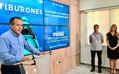 Anuncia Toño Astiazarán exposición internacional TIBURONES en Hermosillo para promover la conservación de la especie