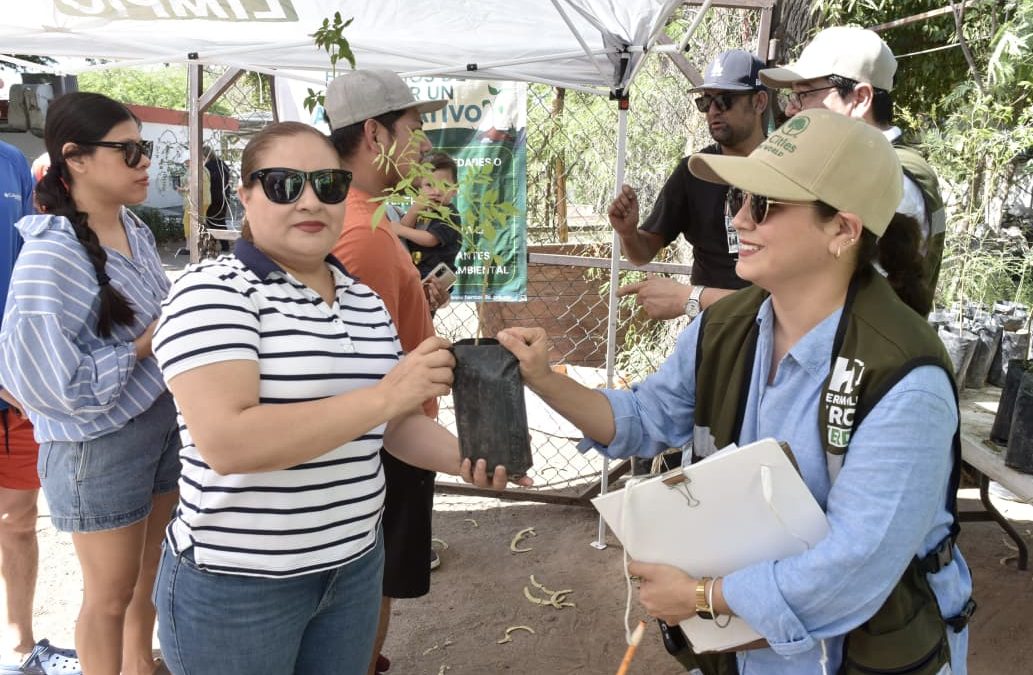 Donará Vivero Municipal árboles nativos este viernes