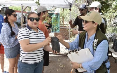 Donará Vivero Municipal árboles nativos este viernes
