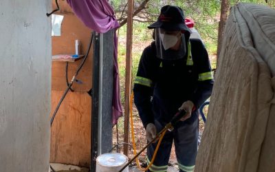 Destaca Salud Sonora acciones contra la rickettsia a través fumigación de viviendas y fomento de casa limpia