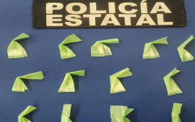 Acciones operativas de la Policía Estatal aseguran narcóticos en municipios de Sonora