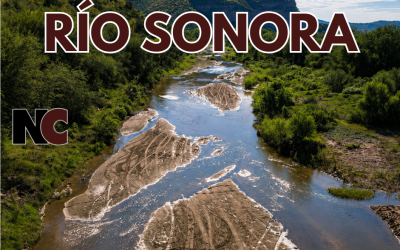 Iniciará limpieza del Río Sonora después de 12 años