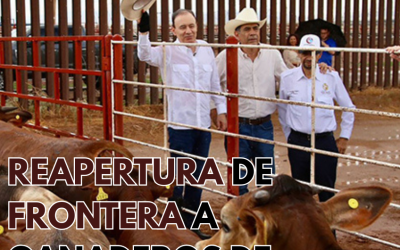 Reapertura de frontera a ganaderos de Sonora