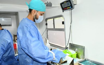 Invita Gobierno de Hermosillo a jornada de castración gratuita para perros y gatos en Los Encinos
