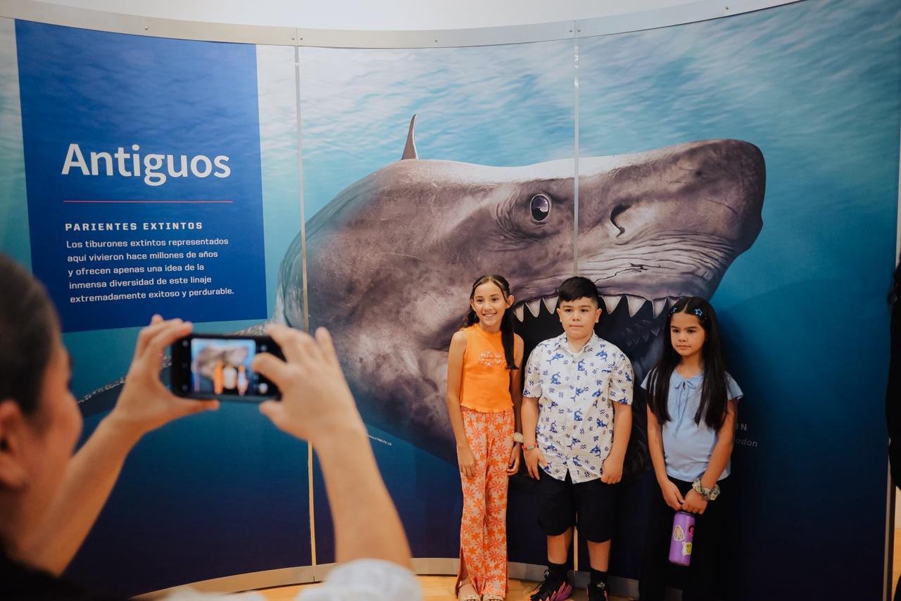 La exposición TIBURONES llega a Hermosillo (4)