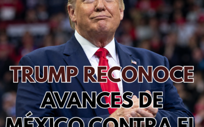 Trump reconoce avances de México contra el narco