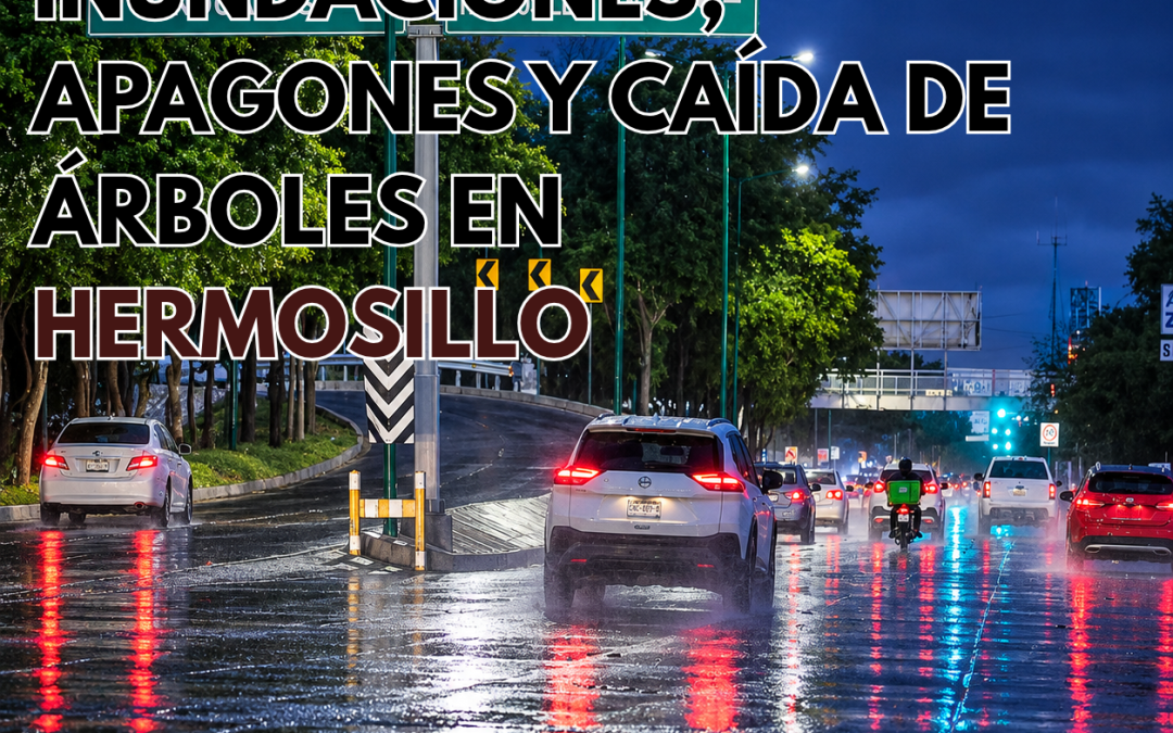 Tormenta provoca inundaciones, apagones y caída de árboles en Hermosillo