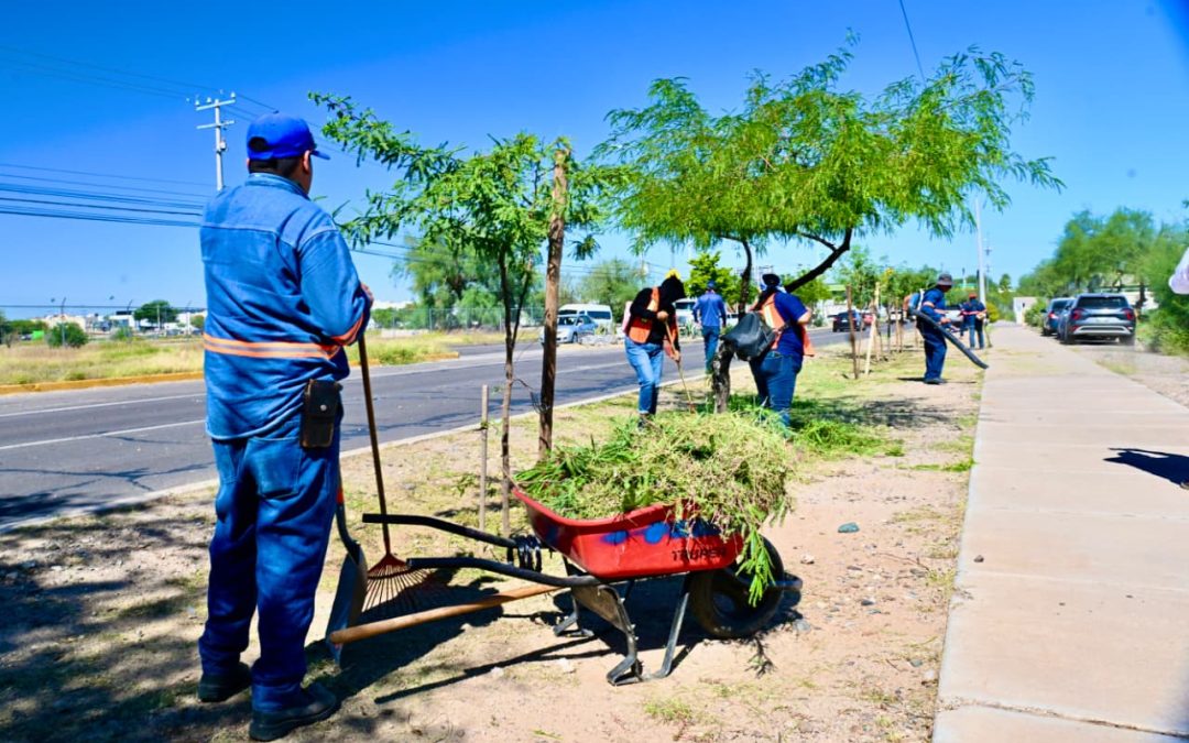 Realiza Ayuntamiento de Hermosillo limpieza en Vado del Río para mejorar el espacio público