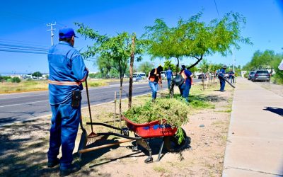 Realiza Ayuntamiento de Hermosillo limpieza en Vado del Río para mejorar el espacio público