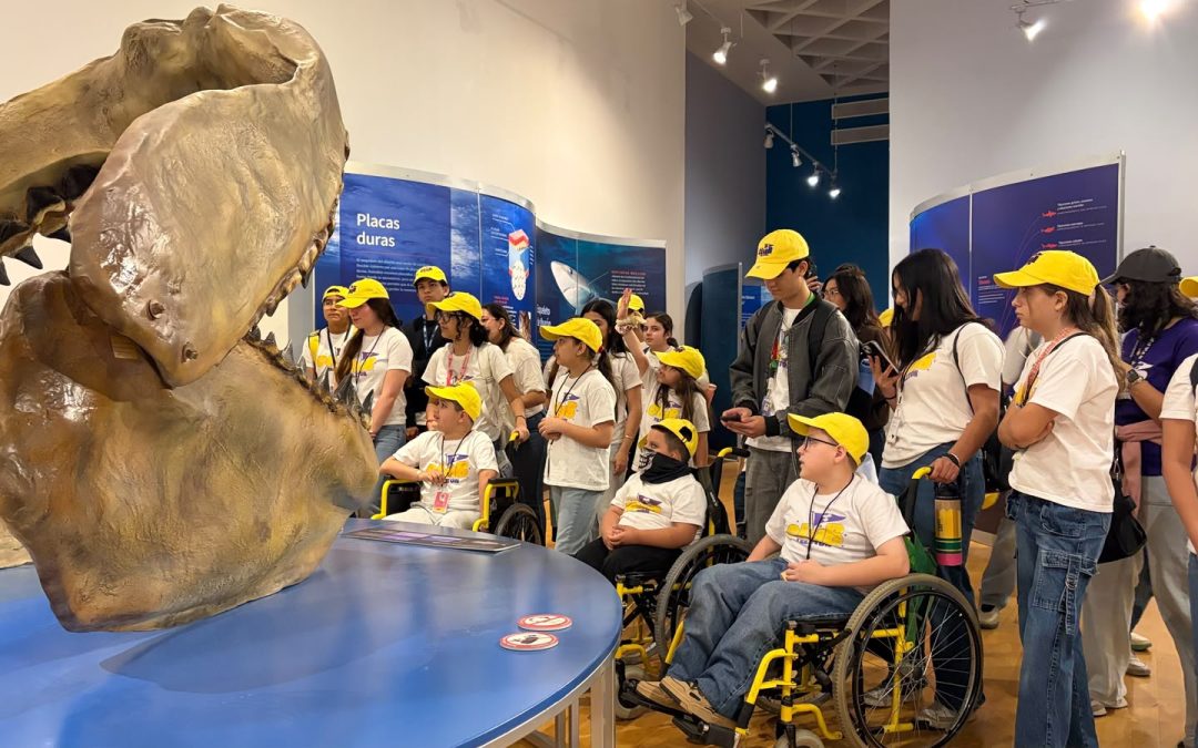 Viven niñas y niños del Club Teletón la experiencia “TIBURONES” que suma más de 15 mil visitantes