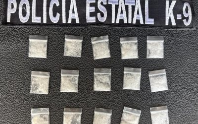 Unidad K9 de la PESP logra dos detenciones y asegura 26 envoltorios en Hermosillo
